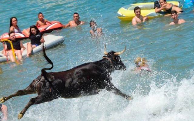 daily picdump 97 pics 44.html - 97 HD Photos | Premium Gallery 2017