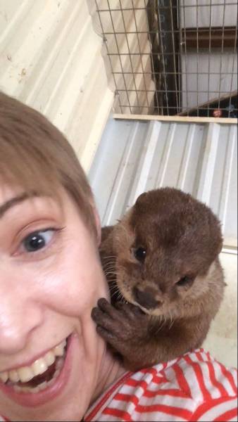 daily picdump 97 pics 44.html - 97 HD Photos | Premium Gallery 2017