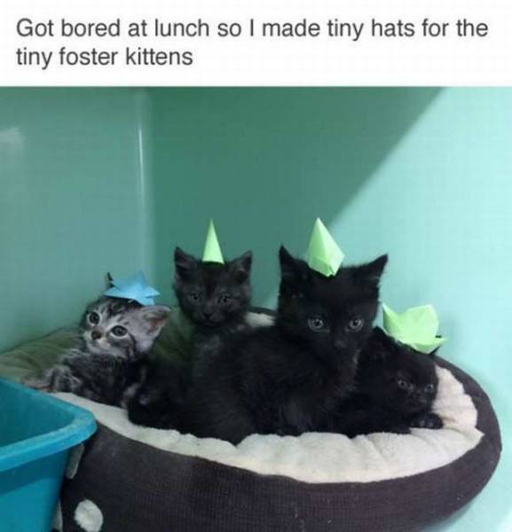 daily picdump 97 pics 44.html - 97 HD Photos | Premium Gallery 2017