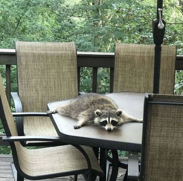 daily picdump 97 pics 44.html - 97 HD Photos | Premium Gallery 2017