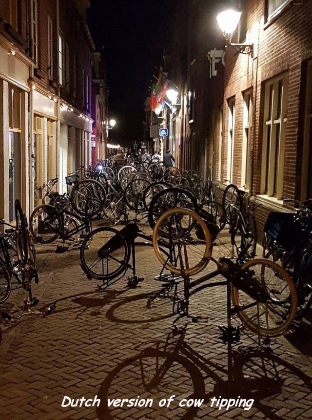 daily picdump 97 pics 44.html - 97 HD Photos | Premium Gallery 2017