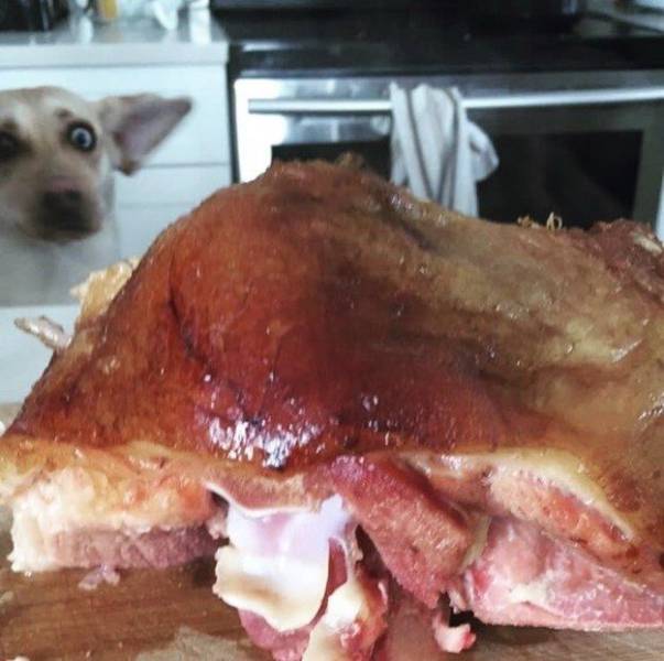 daily picdump 95 pics 2.html - 95 HD Photos | Premium Gallery 2017