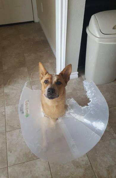 daily picdump 95 pics 2.html - 95 HD Photos | Premium Gallery 2017