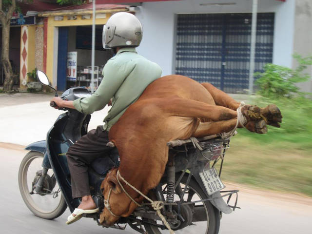 morning picdump 50 pics 25.html - 50 HD Photos | Premium Gallery 2017