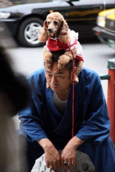 daily picdump 96 pics 24.html - 96 HD Photos | Premium Gallery 2017