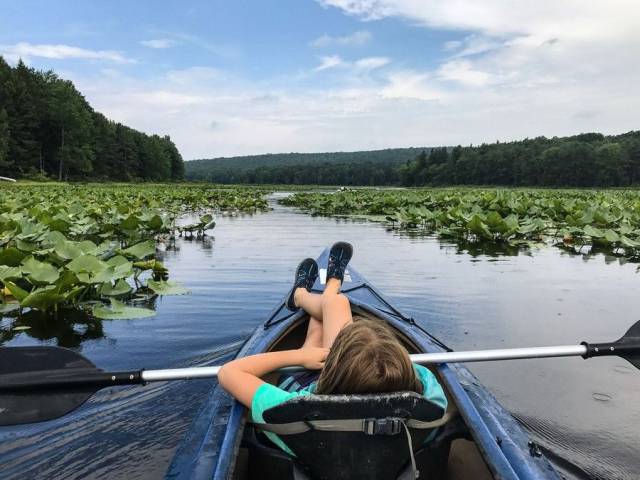 daily picdump 96 pics 24.html - 96 HD Photos | Premium Gallery 2017