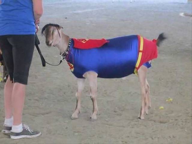 daily picdump 96 pics 24.html - 96 HD Photos | Premium Gallery 2017