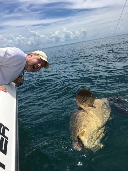 daily picdump 96 pics 24.html - 96 HD Photos | Premium Gallery 2017