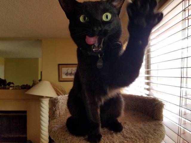 daily picdump 96 pics 24.html - 96 HD Photos | Premium Gallery 2017