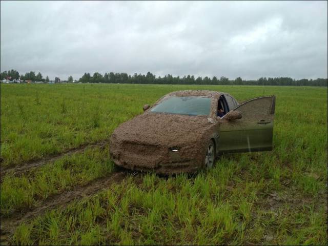 daily picdump 96 pics 24.html - 96 HD Photos | Premium Gallery 2017