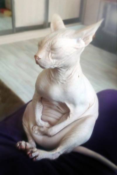 daily picdump 96 pics 24.html - 96 HD Photos | Premium Gallery 2017