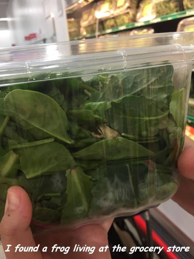 daily picdump 96 pics 24.html - 96 HD Photos | Premium Gallery 2017