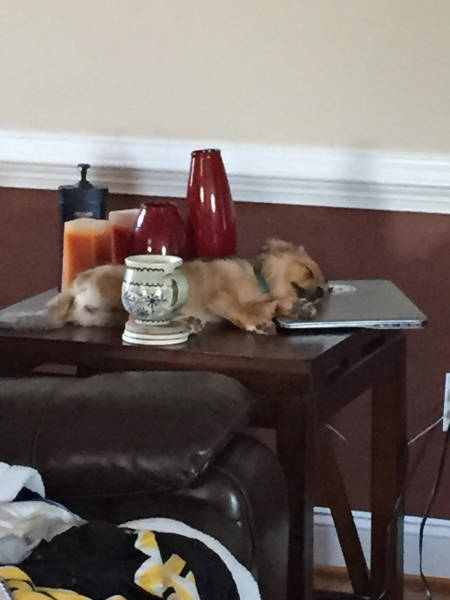 morning picdump 50 pics 14.html - 50 HD Photos | Premium Gallery 2017