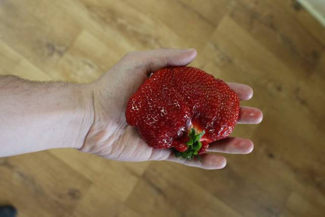 morning picdump 50 pics 14.html - 50 HD Photos | Premium Gallery 2017