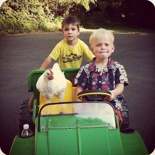 daily picdump 96 pics 30.html - 96 HD Photos | Premium Gallery 2017