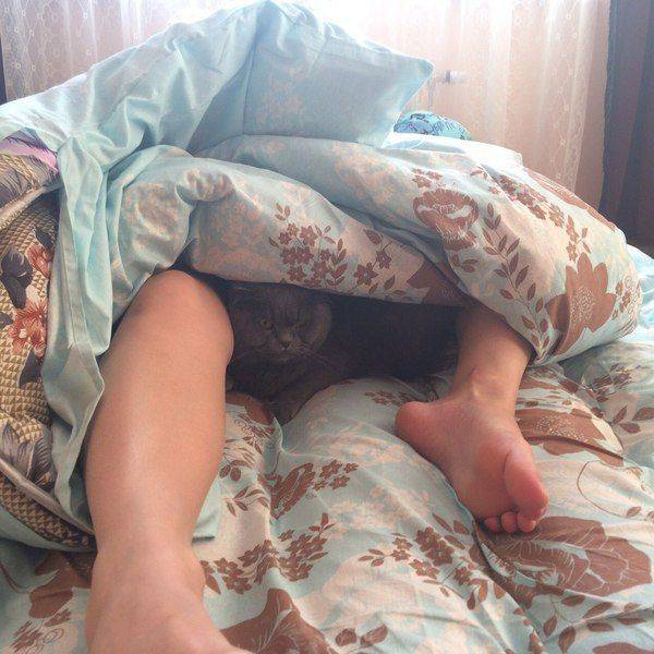 daily picdump 96 pics 30.html - 96 HD Photos | Premium Gallery 2017