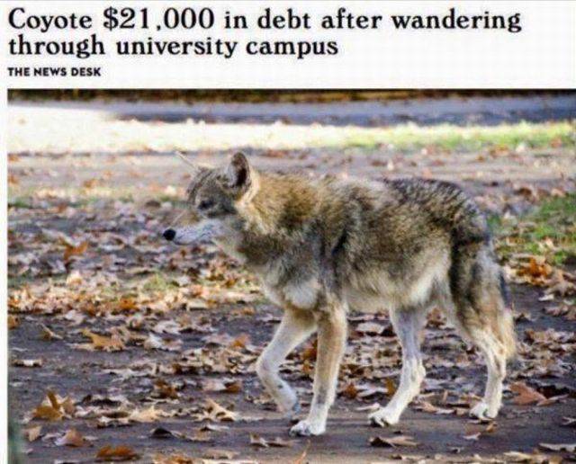 daily picdump 96 pics 30.html - 96 HD Photos | Premium Gallery 2017