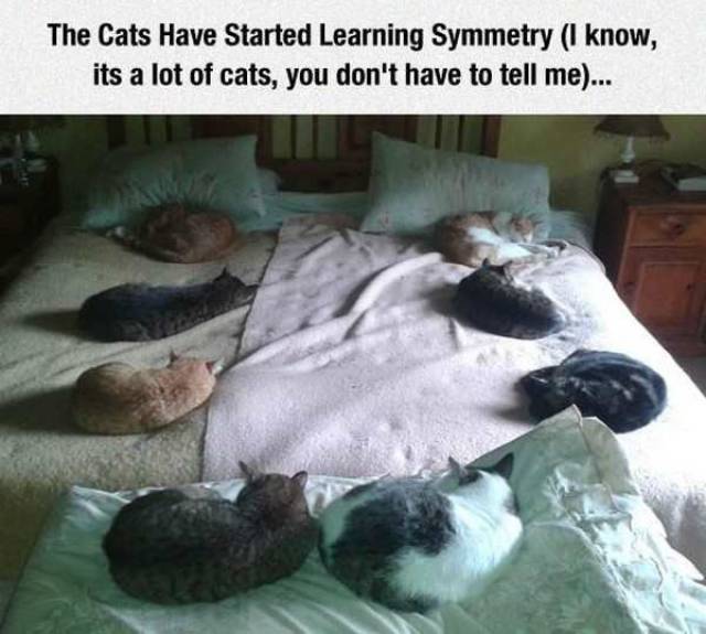 daily picdump 96 pics 30.html - 96 HD Photos | Premium Gallery 2017