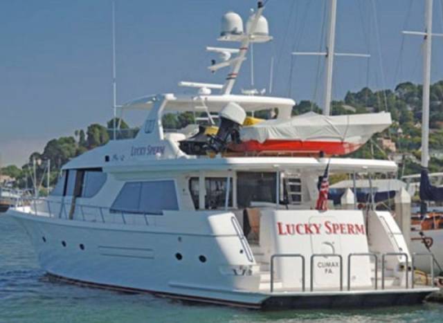 daily picdump 96 pics 30.html - 96 HD Photos | Premium Gallery 2017