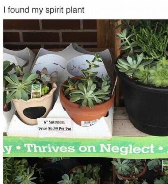 daily picdump 96 pics 30.html - 96 HD Photos | Premium Gallery 2017