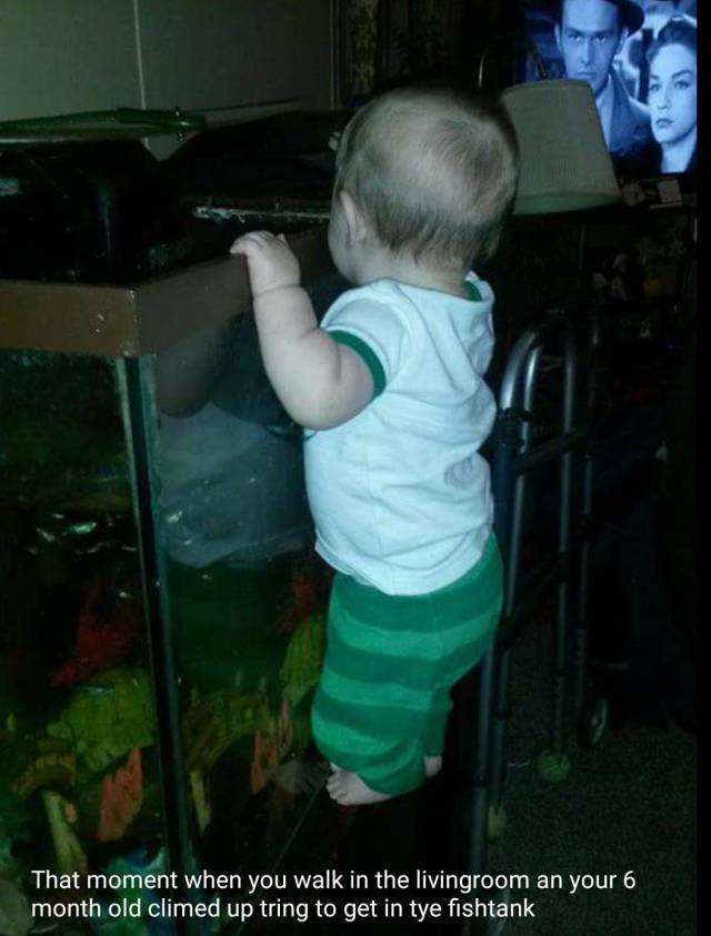 daily picdump 96 pics 30.html - 96 HD Photos | Premium Gallery 2017