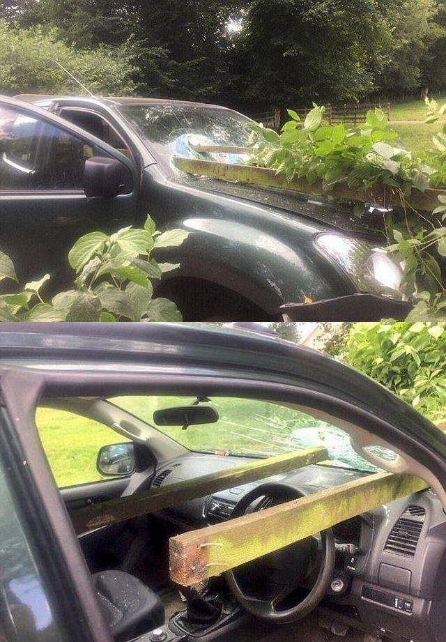 daily picdump 96 pics 30.html - 96 HD Photos | Premium Gallery 2017