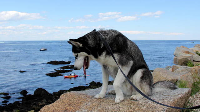 morning picdump 50 pics 1.html - 50 HD Photos | Premium Gallery 2017