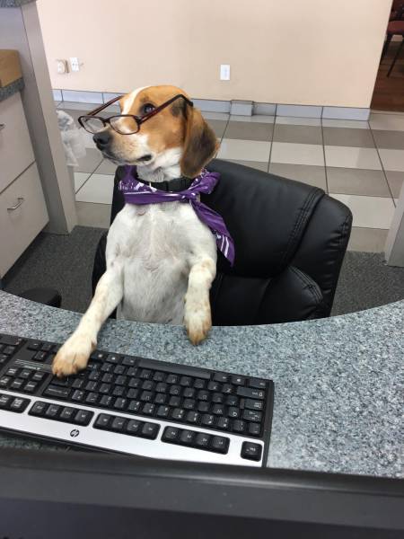 morning picdump 50 pics 1.html - 50 HD Photos | Premium Gallery 2017