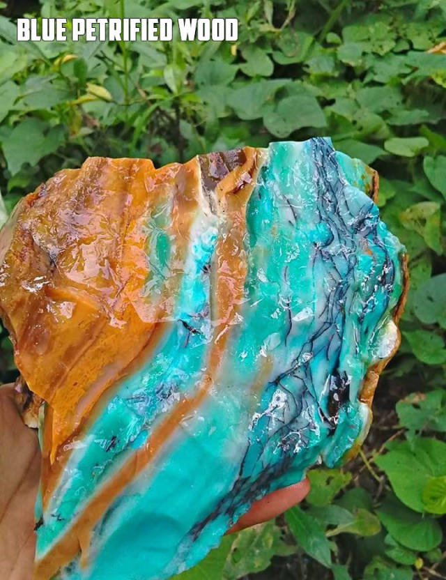 morning picdump 50 pics 1.html - 50 HD Photos | Premium Gallery 2017