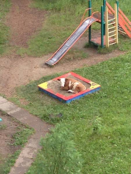 daily picdump 95 pics 45.html - 95 HD Photos | Premium Gallery 2017