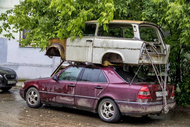 daily picdump 95 pics 45.html - 95 HD Photos | Premium Gallery 2017