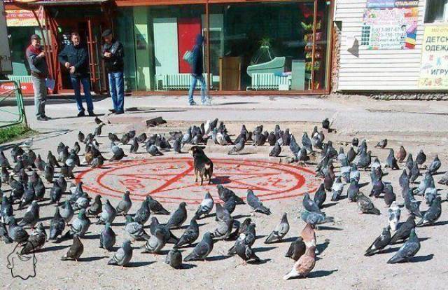 daily picdump 95 pics 45.html - 95 HD Photos | Premium Gallery 2017