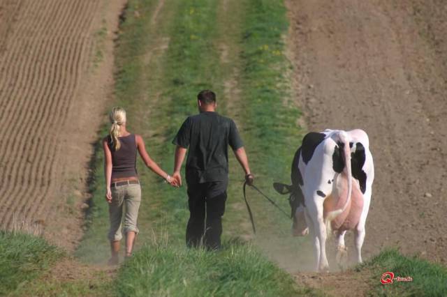 daily picdump 95 pics 45.html - 95 HD Photos | Premium Gallery 2017