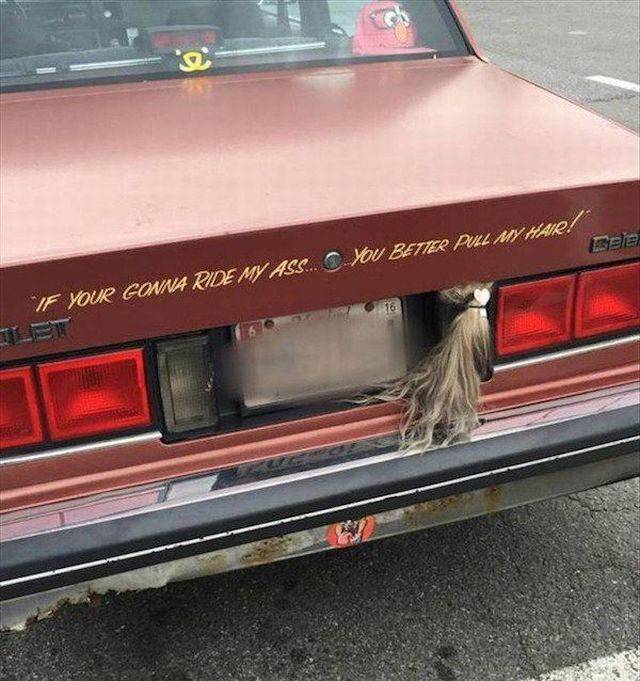 daily picdump 95 pics 45.html - 95 HD Photos | Premium Gallery 2017