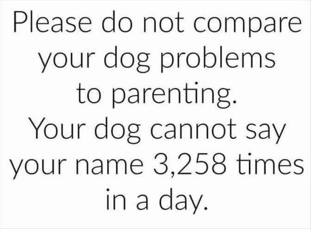 funny picdump 52 pics 4.html - 52 HD Photos | Premium Gallery 2017