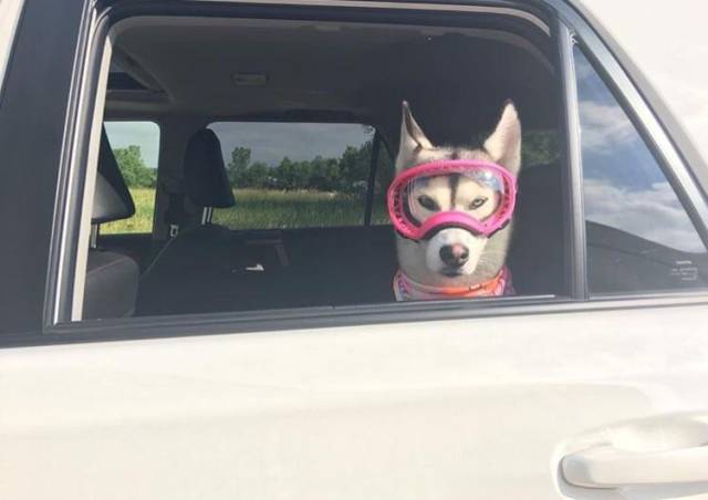 morning picdump 51 pics 17.html - 51 HD Photos | Premium Gallery 2017