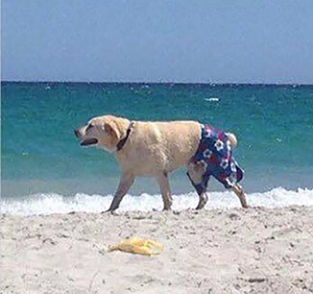 morning picdump 51 pics 17.html - 51 HD Photos | Premium Gallery 2017