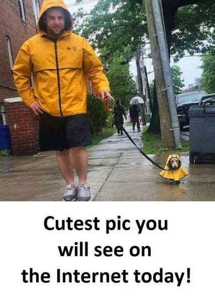 morning picdump 51 pics 17.html - 51 HD Photos | Premium Gallery 2017