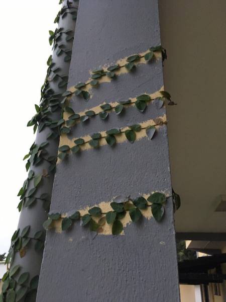 daily picdump weekend edition 54 pics 24.html - 54 HD Photos | Premium Gallery 2017