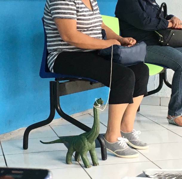 daily picdump weekend edition 54 pics 24.html - 54 HD Photos | Premium Gallery 2017