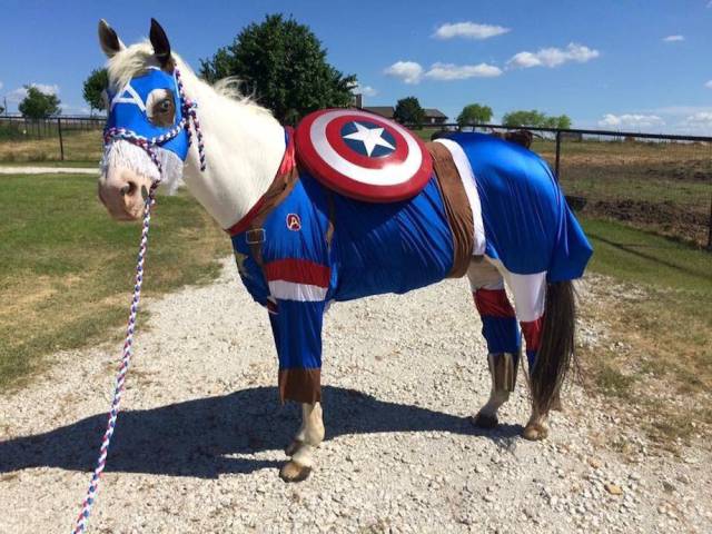 daily picdump weekend edition 54 pics 24.html - 54 HD Photos | Premium Gallery 2017