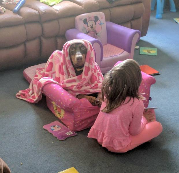 daily picdump weekend edition 54 pics 24.html - 54 HD Photos | Premium Gallery 2017