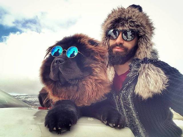 daily picdump weekend edition 54 pics 24.html - 54 HD Photos | Premium Gallery 2017