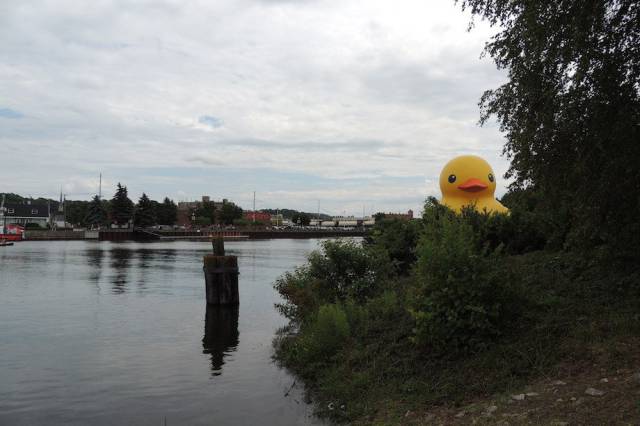 daily picdump weekend edition 54 pics 24.html - 54 HD Photos | Premium Gallery 2017