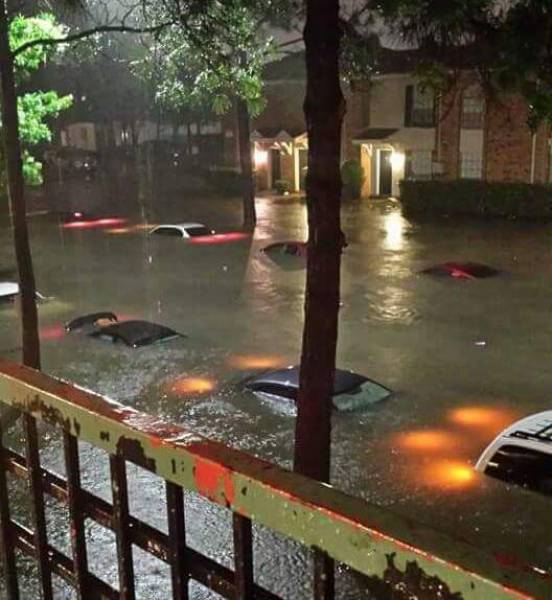 daily picdump weekend edition 54 pics 24.html - 54 HD Photos | Premium Gallery 2017