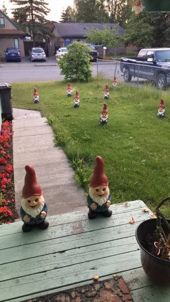 daily picdump weekend edition 54 pics 24.html - 54 HD Photos | Premium Gallery 2017