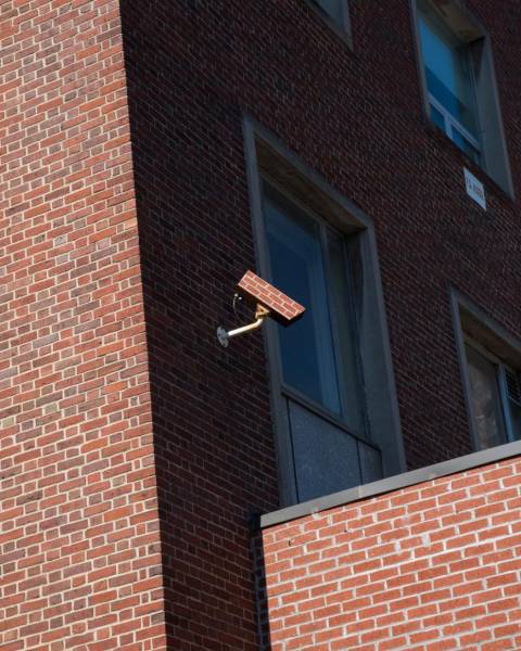 daily picdump weekend edition 54 pics 24.html - 54 HD Photos | Premium Gallery 2017