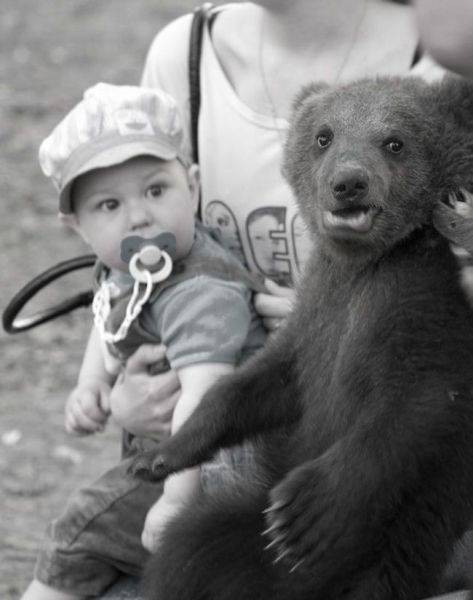 daily picdump 95 pics 39.html - 95 HD Photos | Premium Gallery 2017