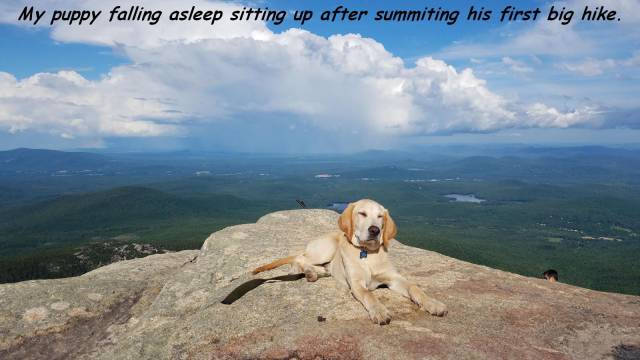 daily picdump 95 pics 39.html - 95 HD Photos | Premium Gallery 2017