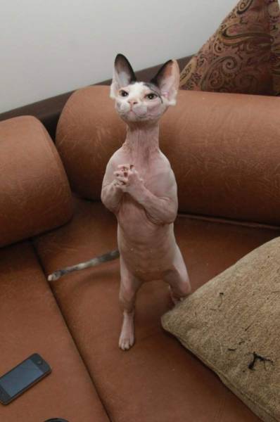 daily picdump 95 pics 39.html - 95 HD Photos | Premium Gallery 2017